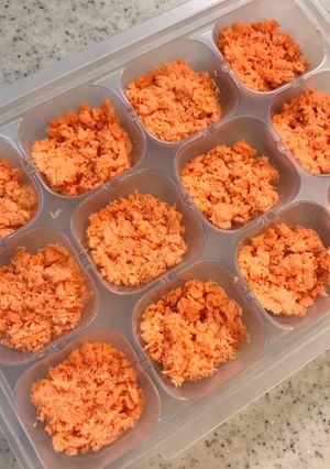 #離乳食 鮭フレーク 中期-レシピのメイン写真