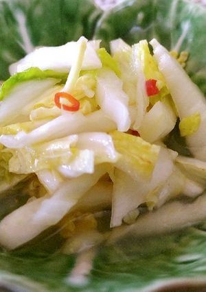 白菜の中華風甘酢あえ-レシピのメイン写真