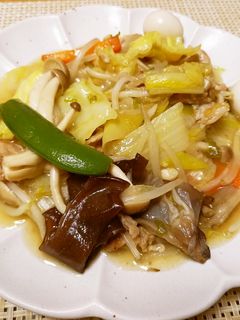野菜たっぷり!肉野菜いため(八宝菜)-レシピのメイン写真