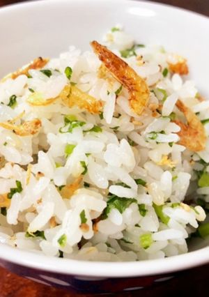 桜えびの菜飯☆春の香ばし混ぜご飯-レシピのメイン写真