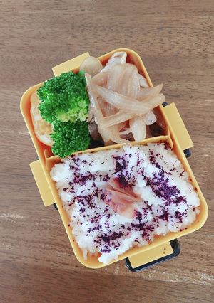 新玉ねぎたっぷり豚の生姜焼弁当♪-レシピのメイン写真