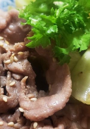 お年寄り絶賛シリーズ☆豚赤身肉生姜焼き☆-レシピのメイン写真