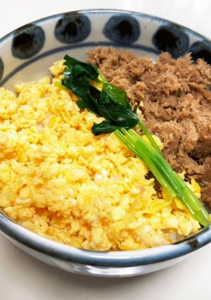 のんちゃんのツナそぼろ丼-レシピのメイン写真