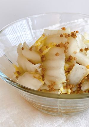 白菜のクイックサラダ　ゆず風味-レシピのメイン写真