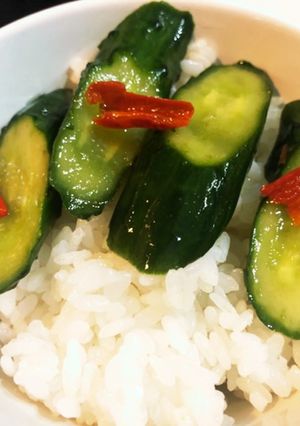 粉末うどんスープで作るきゅうりの浅漬け-レシピのメイン写真