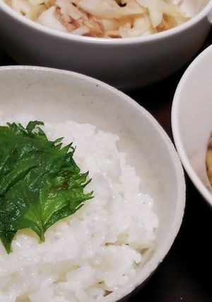 大葉の白だし漬け-レシピのメイン写真