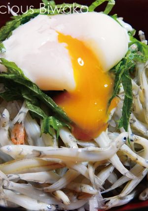 ヒウオ（氷魚）の釜揚げ丼-レシピのメイン写真