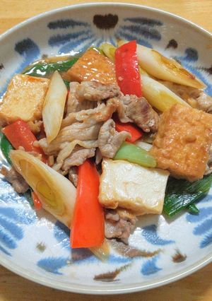 家常豆腐◎厚揚げと豚こま肉の中華炒め-レシピのメイン写真