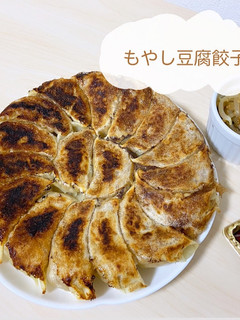 もやし豆腐餃子-レシピのメイン写真
