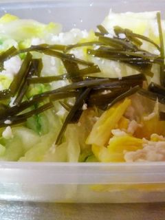 白菜の塩麹漬け-レシピのメイン写真