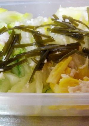 白菜の塩麹漬け-レシピのメイン写真