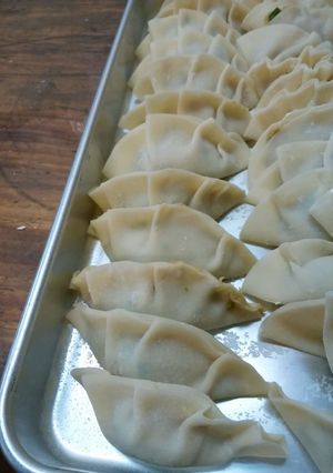 野菜たっぷり餃子～-レシピのメイン写真