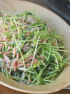 簡単♪豆苗のペペロンチーノ風-レシピのメイン写真