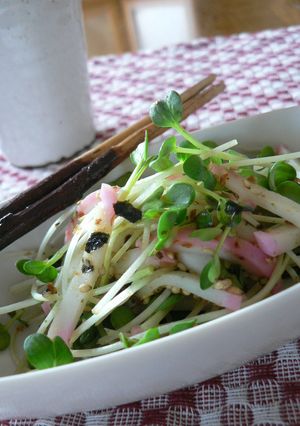 ✿かいわれ大根とかまぼこのふりかけまぶし-レシピのメイン写真