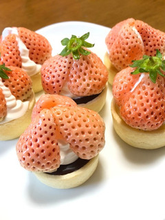 ⭐️3種の淡雪いちごのタルト⭐️-レシピのメイン写真