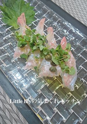 平目のカルパッチョ-レシピのメイン写真