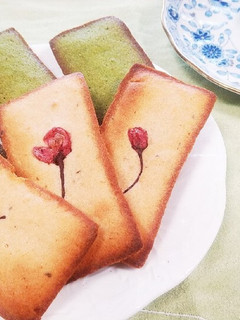 春のフィナンシェ2種～桜と抹茶-レシピのメイン写真