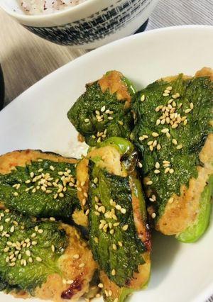 茄子とピーマン鳥の肉詰め-レシピのメイン写真
