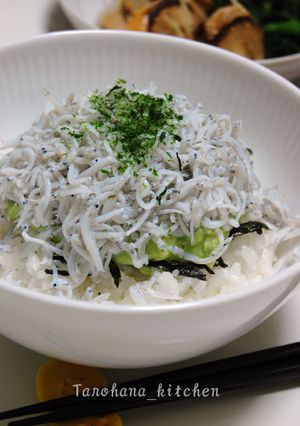 アボカドとしらすの森と海のハーモニー丼-レシピのメイン写真