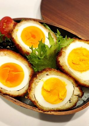 のっけ弁当(置き弁スコッチエッグ)-レシピのメイン写真