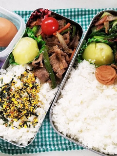 牛肉ピーマン炒め弁当(3.4)-レシピのメイン写真
