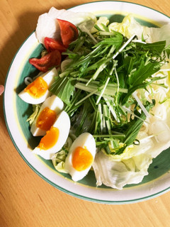 夏はこれ!サラダうどん-レシピのメイン写真