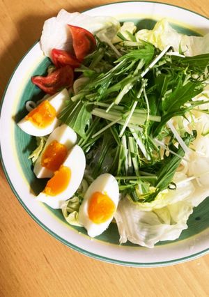 夏はこれ！サラダうどん-レシピのメイン写真