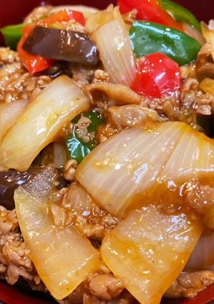 ナスの甘辛マーボー丼-レシピのメイン写真