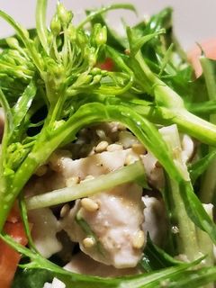 お年寄り絶賛シリーズ☆水菜ジャブサラダ☆-レシピのメイン写真