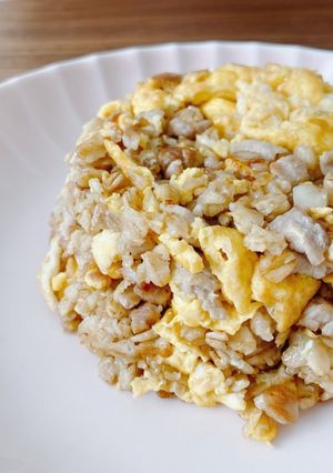オートミールでりゅうじさんのニンニク炒飯-レシピのメイン写真
