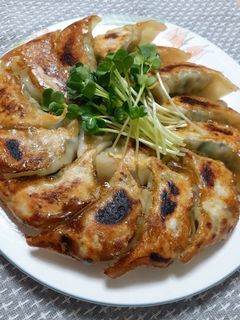 春キャベツたっぷり餃子♪-レシピのメイン写真