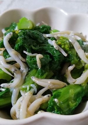 春を感じたい!菜の花のしらす和え-レシピのメイン写真