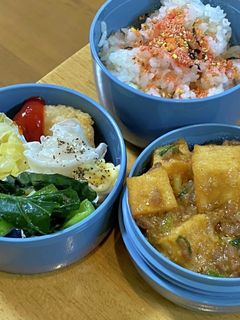 定番厚揚げマーボー豆腐 タロの弁当105-レシピのメイン写真