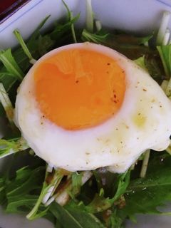レンジで温泉卵-レシピのメイン写真