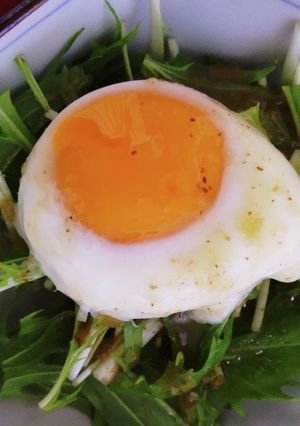 レンジで温泉卵-レシピのメイン写真