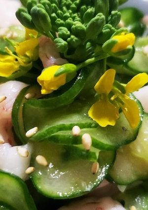 お年寄り絶賛シリーズ☆甘海老☆酢の物☆-レシピのメイン写真