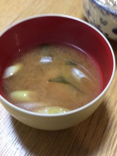 ねぎと豆腐とワカメの味噌汁-レシピのメイン写真