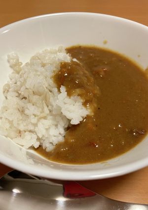 暇を持て余した父の本気の自家製カレー-レシピのメイン写真