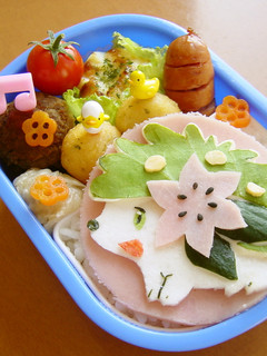 シェイミ☆お弁当(キャラ弁)-レシピのメイン写真