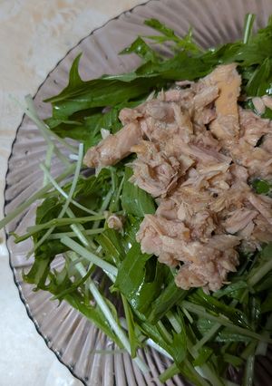 簡単★水菜のツナとめんつゆのサラダ-レシピのメイン写真