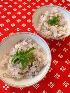 ゆかりじゃこ混ぜごはん-レシピのメイン写真