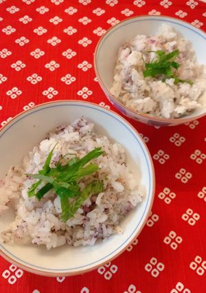 ゆかりじゃこ混ぜごはん-レシピのメイン写真