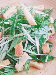 水菜と油揚げのカリカリサラダ☆-レシピのメイン写真