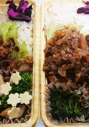 【夫婦弁当⑤】たっぷり焼肉-レシピのメイン写真