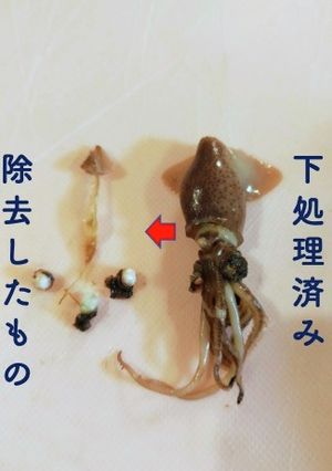 ホタルイカの下処理★目、軟骨、口の除去-レシピのメイン写真