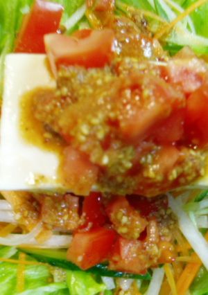 ヘルシー!千切り野菜のトマトのせ冷奴!-レシピのメイン写真