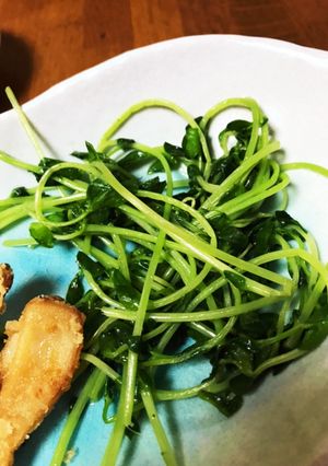 簡単☆シャキシャキ豆苗のごま油炒め♪-レシピのメイン写真