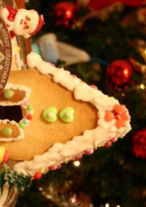 ♪クリスマスお菓子の家♪-レシピのメイン写真