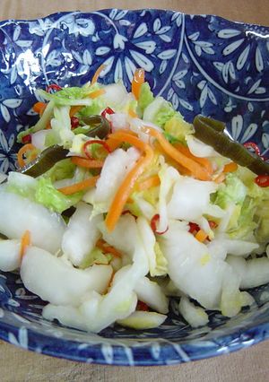 ポリ袋で白菜の漬物-レシピのメイン写真