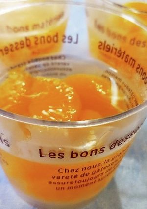 みかんゼリー～みかん缶を使って～-レシピのメイン写真